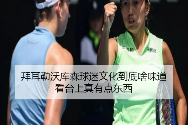 拜耳勒沃库森球迷文化到底啥味道 看台上真有点东西 - leyu