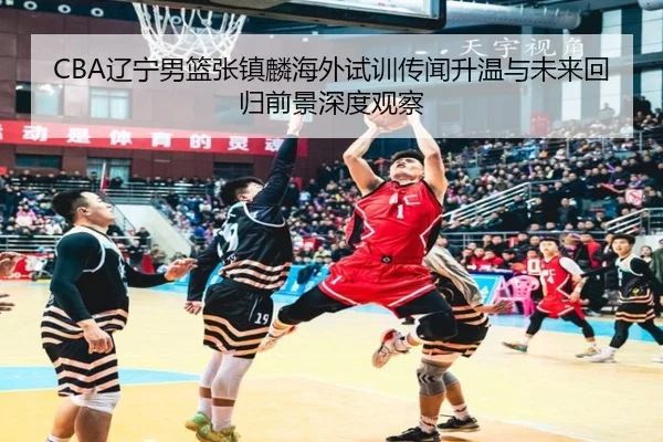 CBA辽宁男篮张镇麟海外试训传闻升温与未来回归前景深度观察 - leyu