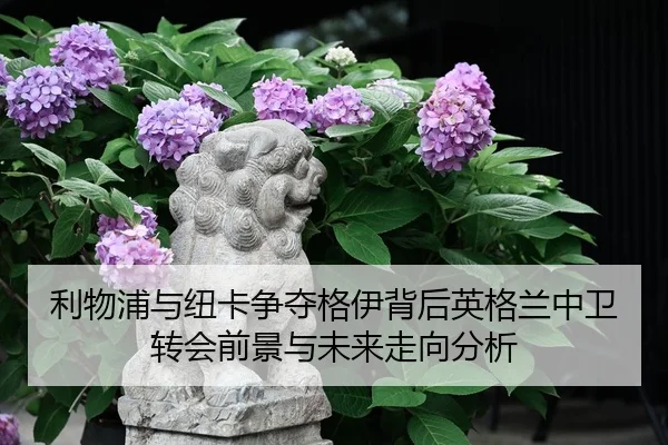 img_1780794038503_4142_0_375.jpg（leyu）