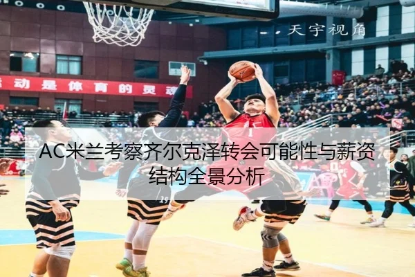 AC米兰考察齐尔克泽转会可能性与薪资结构全景分析 - leyu
