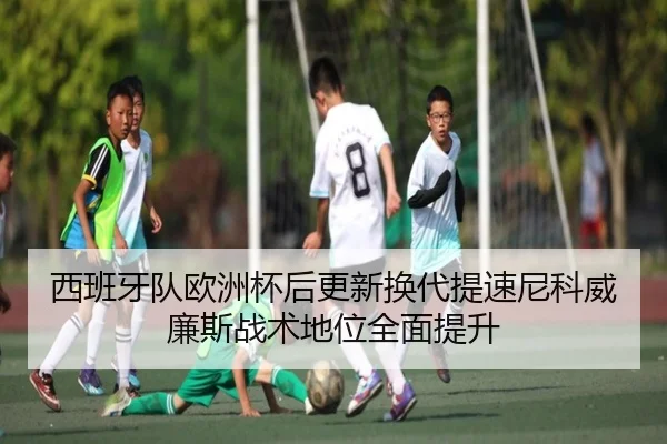 西班牙队欧洲杯后更新换代提速尼科威廉斯战术地位全面提升 - leyu